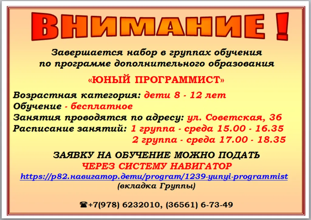 Объявление_Юный программист